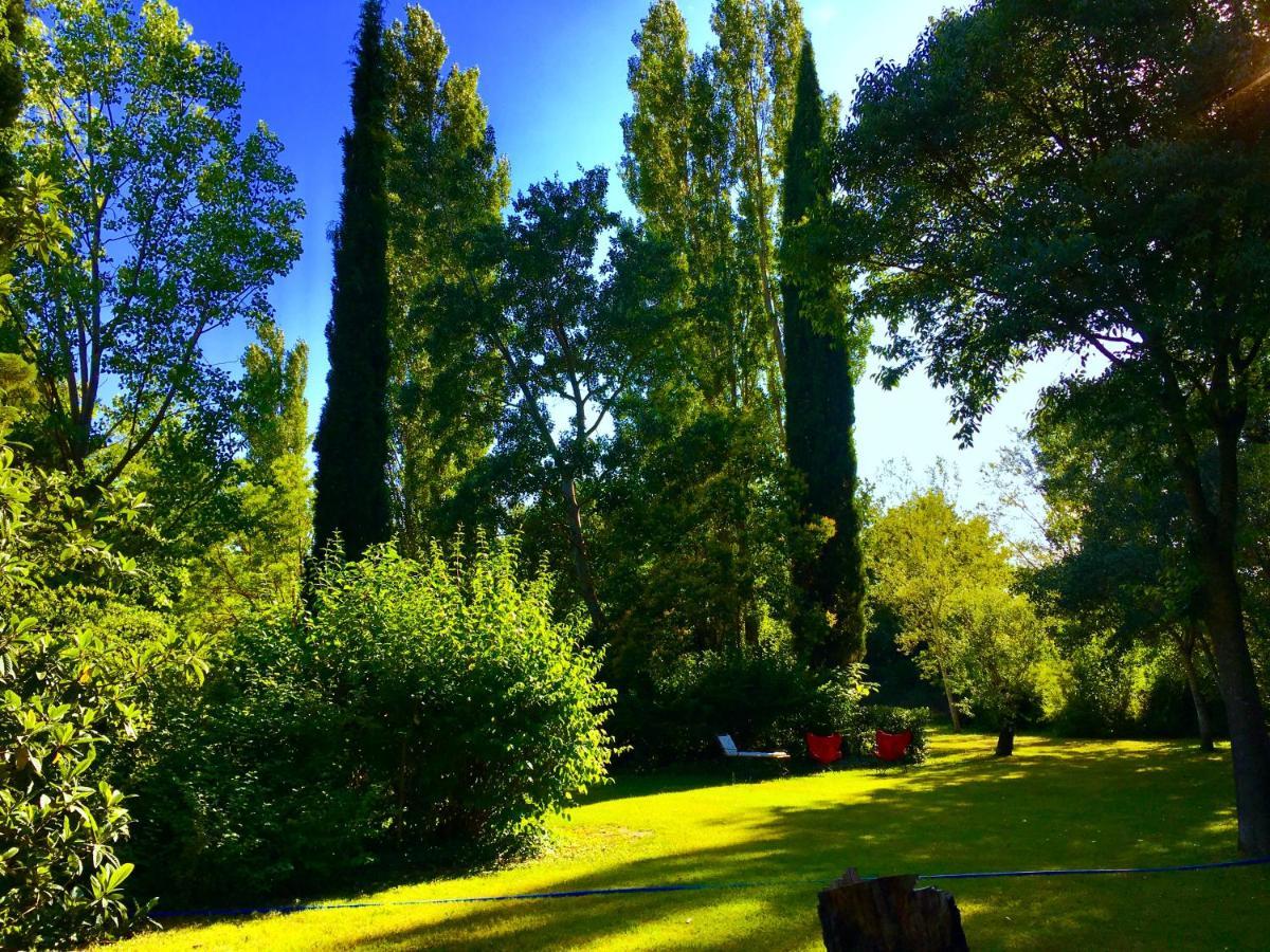Campagne Baudeloup Bed & Breakfast L'Isle-sur-la-Sorgue Bagian luar foto