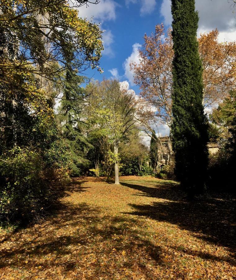 Campagne Baudeloup Bed & Breakfast L'Isle-sur-la-Sorgue Bagian luar foto